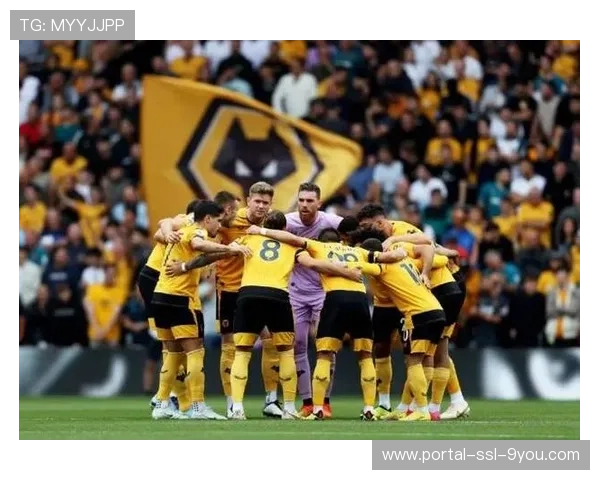 伯恩茅斯伤停九人攻防实力折损狼队主场以逸待劳